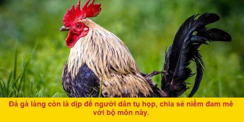 Văn hóa truyền thống