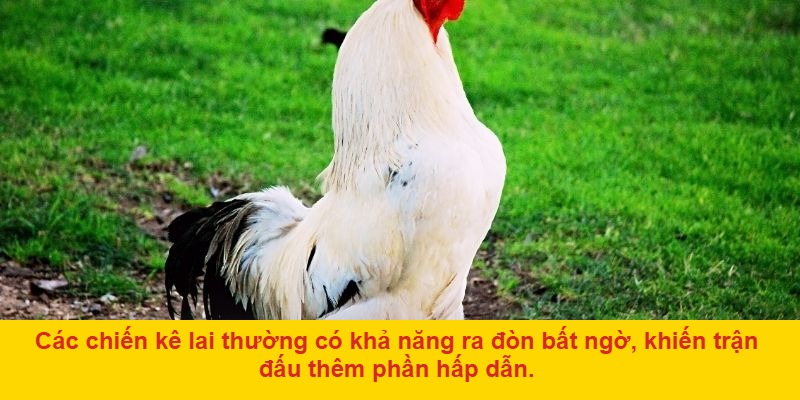 Cộng đồng người chơi năng động