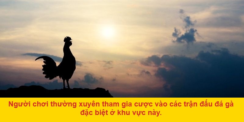 Vai trò của DAGA trong việc bảo tồn và phát triển Đá gà HMông