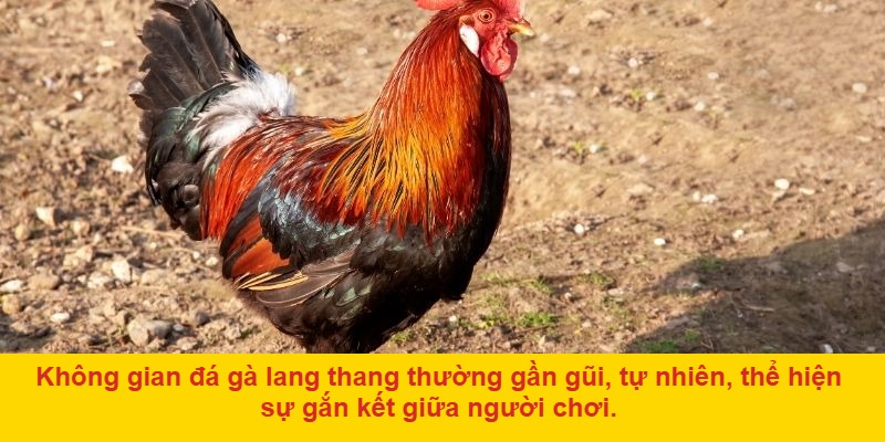 Truyền Thống Văn Hóa Được Gìn Giữ