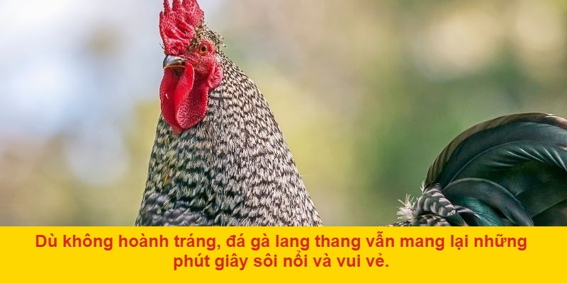Giữ Gìn Văn Minh Và Hòa Khí