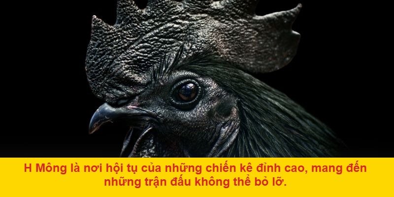 Rèn luyện thể lực và kỹ năng