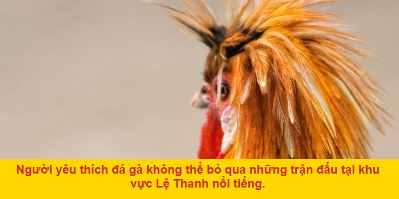 Tham Khảo Kinh Nghiệm Từ Các Chủ Kê Lão Làng