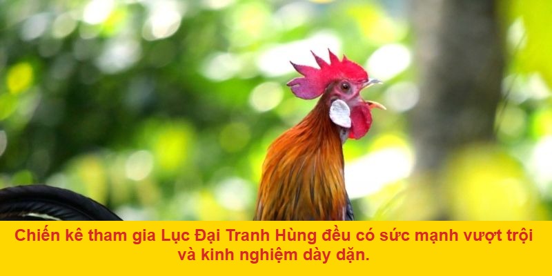 Những yếu tố tạo nên sự khác biệt của Lục Đại Tranh Hùng