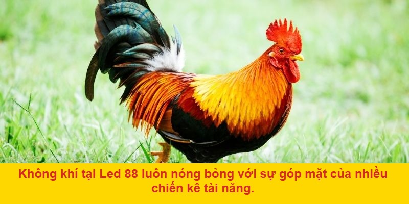 Tập trung vào giá trị văn hóa