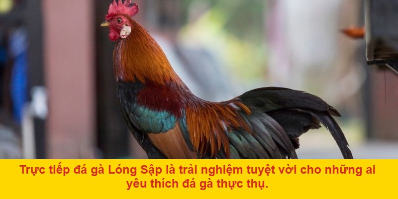 Chuẩn Bị Tâm Thế Sẵn Sàng