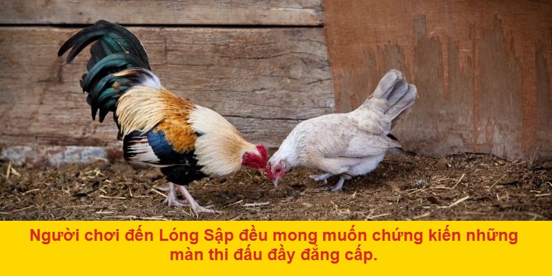 Giữ Vững Tâm Lý Ổn Định