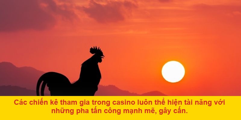 Lý do nên tham gia đá gà ở casino