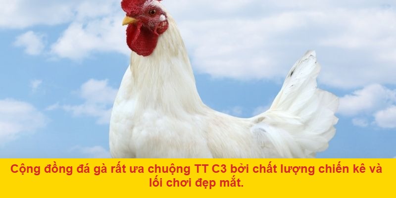Lý do TT đá gà c3 thu hút người chơi