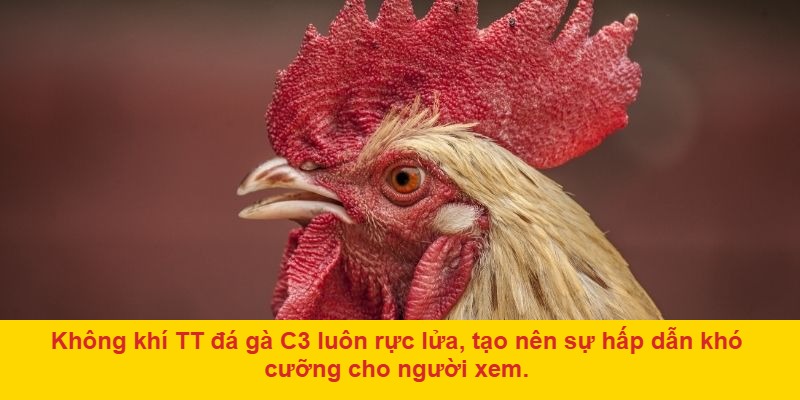 Cộng đồng người chơi đông đảo